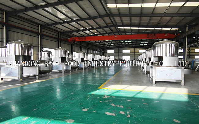 Vietnam vacuum fryers order is done in normal plan now